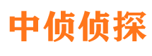 晋源私家调查公司